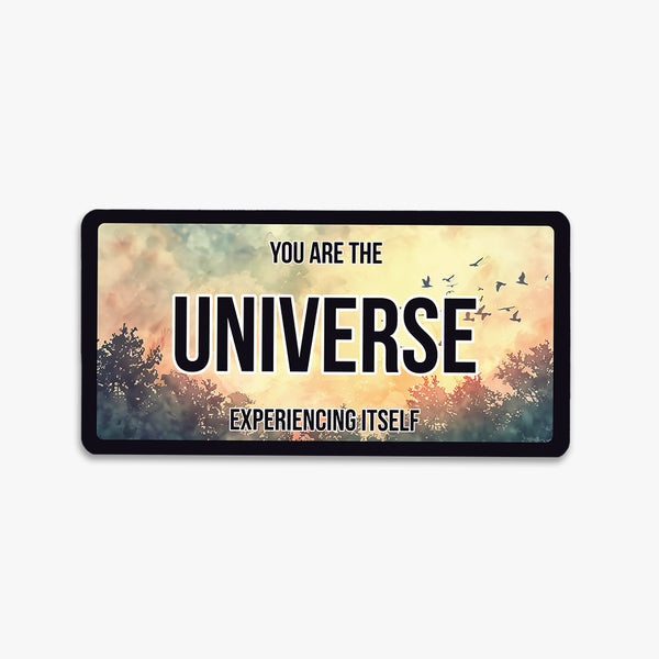 Affirmation License Plate Fridge Magnet: Universe Itself