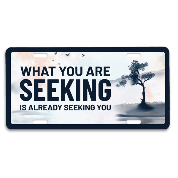 Zen License Plate: Seek