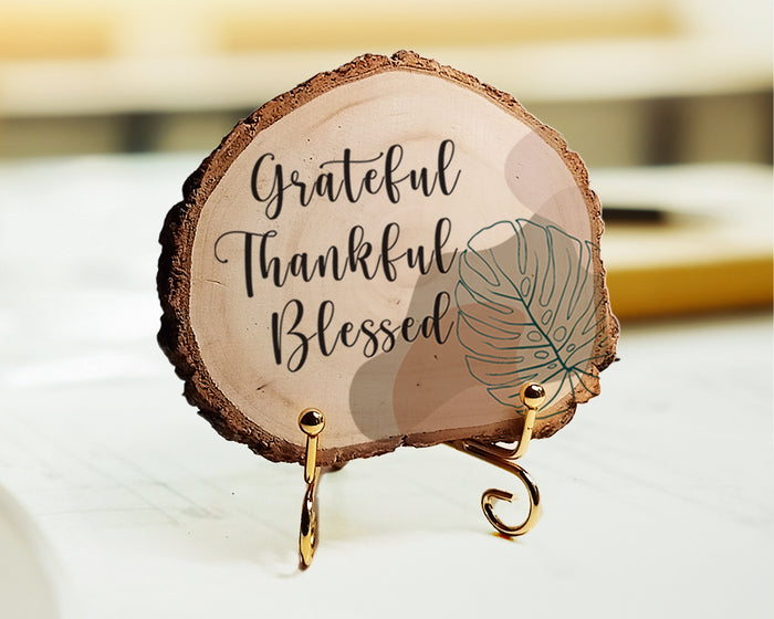 Vault storage bag on a desk